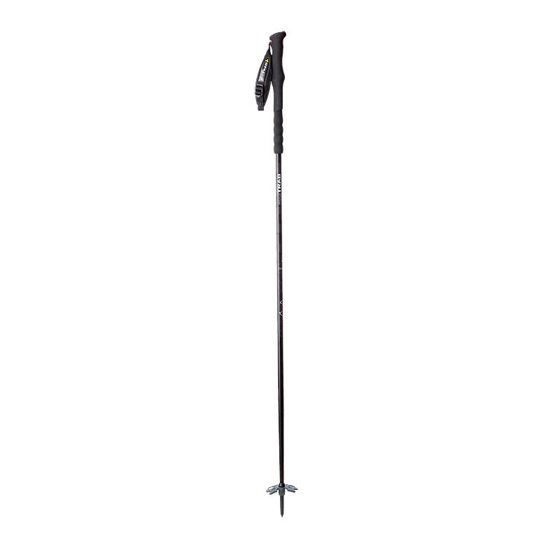 Ski Trab Maestro Poles